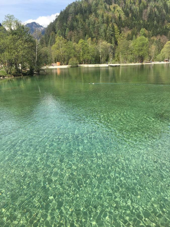 Apartments Vita Kranjska Gora Ngoại thất bức ảnh