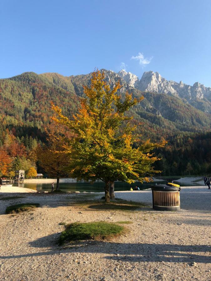 Apartments Vita Kranjska Gora Ngoại thất bức ảnh